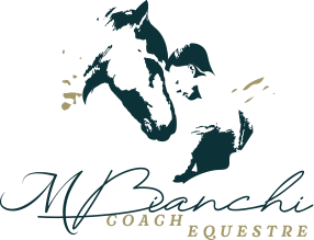 logo Mathieu Bianchi